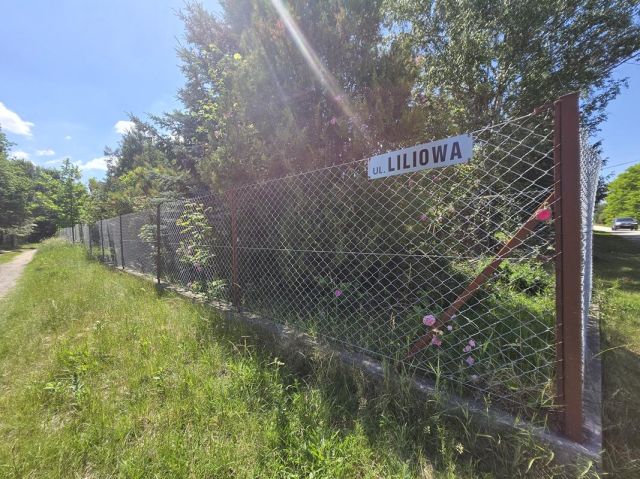 Działka budowlana Dąb Polski, ul. Liliowa. Zdjęcie 13