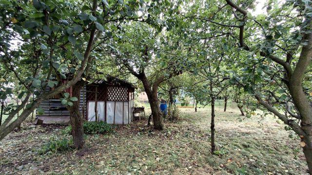 Działka rod Płońsk, ul. Szkolna. Zdjęcie 1