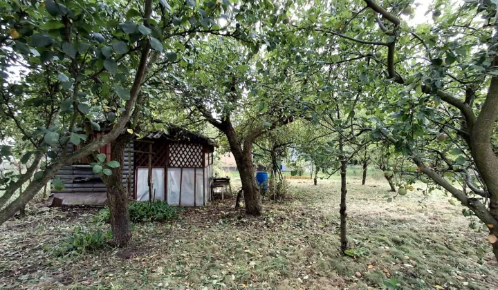 Działka rod Płońsk, ul. Szkolna