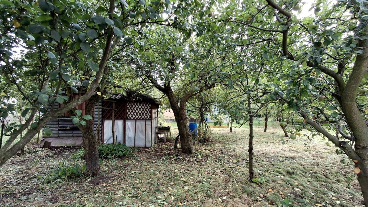 Działka rod Płońsk, ul. Szkolna. Zdjęcie 1