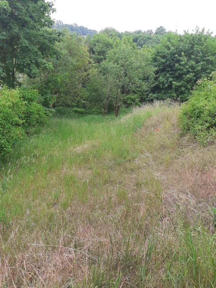 Działka budowlana Nowe. Zdjęcie 3