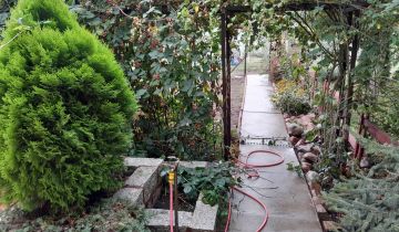 Działka rod Szczecin Krzekowo, ul. Emila Zegadłowicza