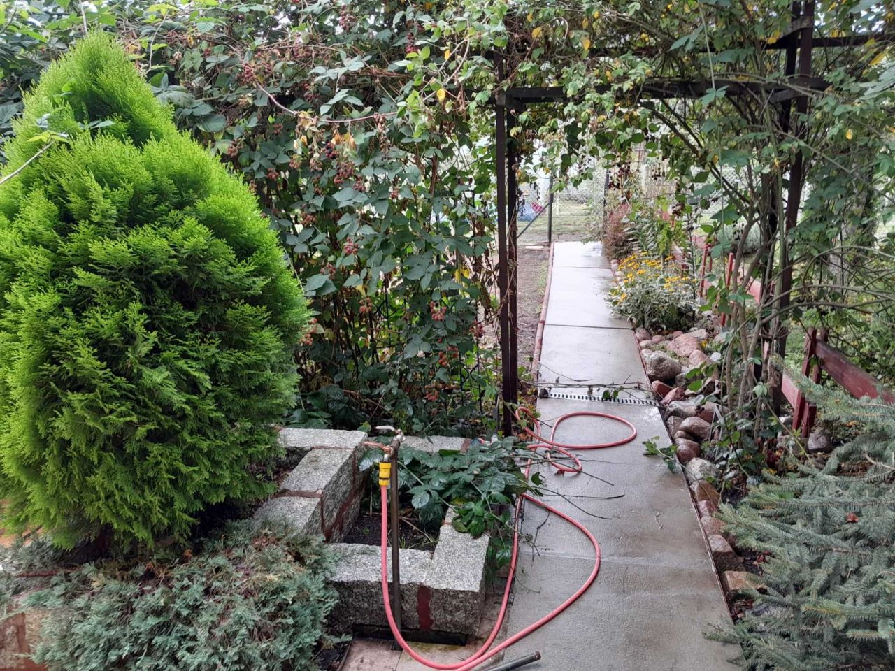 Działka rod Szczecin Krzekowo, ul. Emila Zegadłowicza. Zdjęcie 2