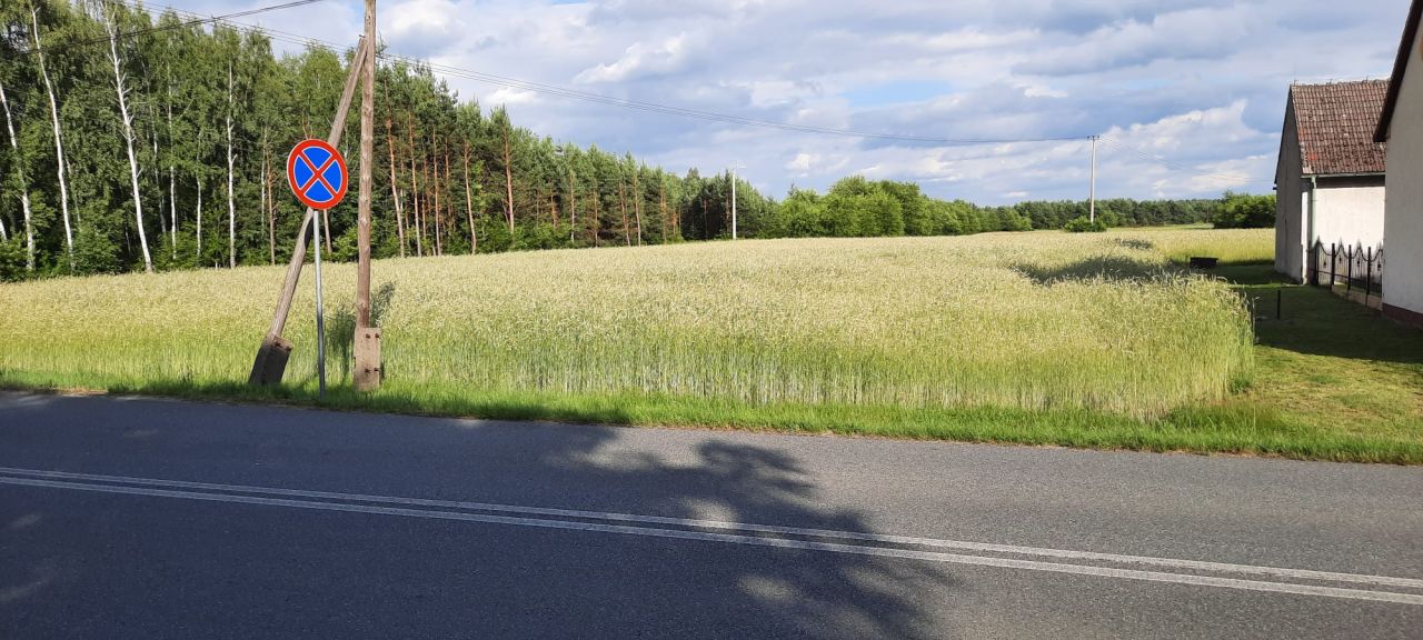 Działka rolno-budowlana Dylaki Michalanka, ul. Ozimska. Zdjęcie 5