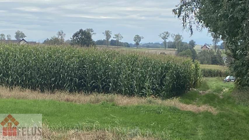 Działka rolna Czułówek. Zdjęcie 5