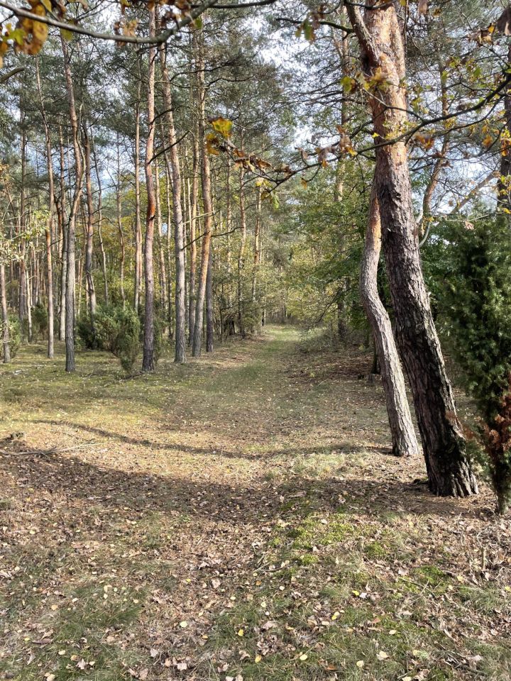 Działka rolna Tomaszów Mazowiecki Starzyce, ul. Krańcowa. Zdjęcie 3