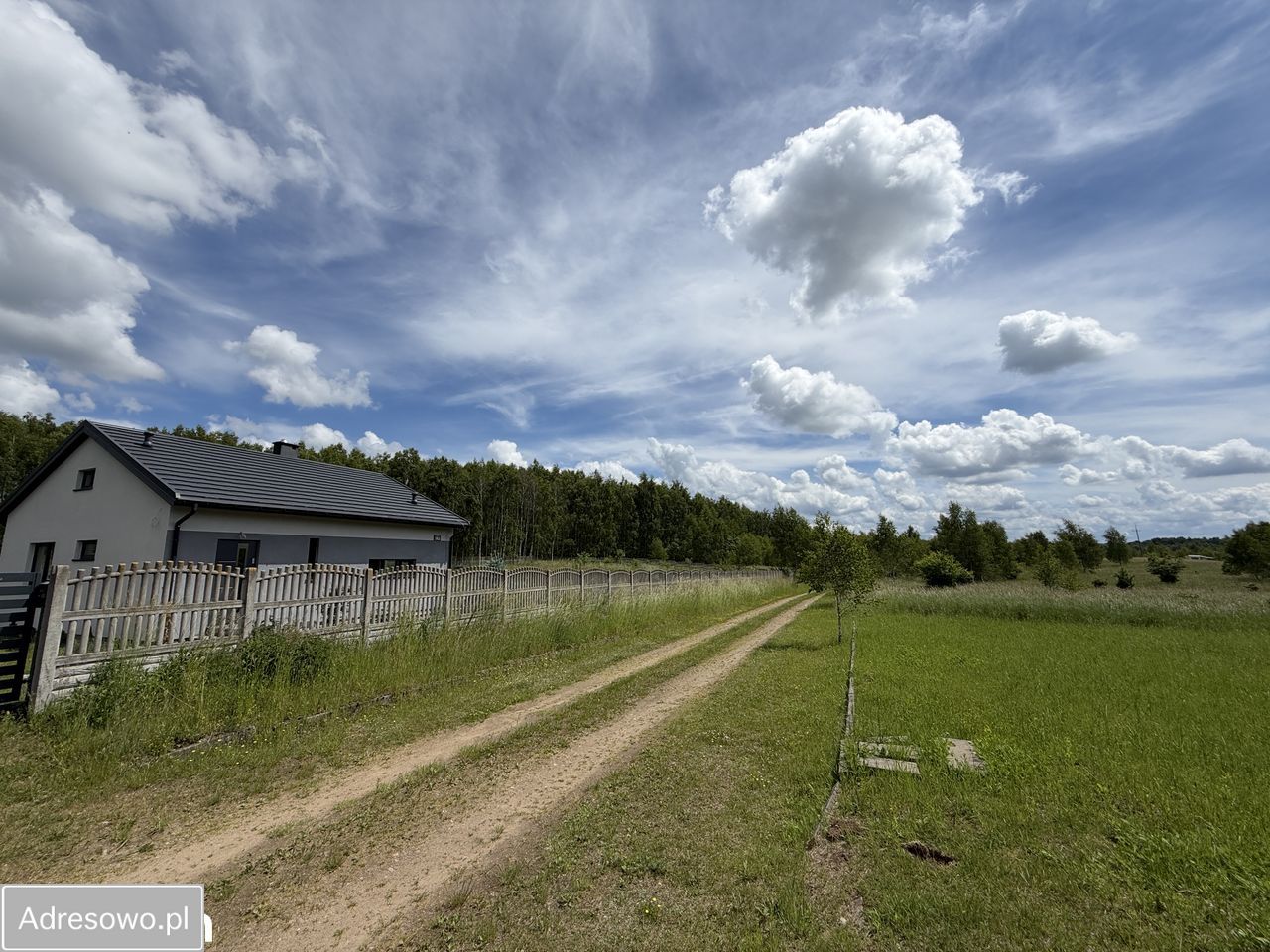 Działka rekreacyjna Waliszewo. Zdjęcie 9