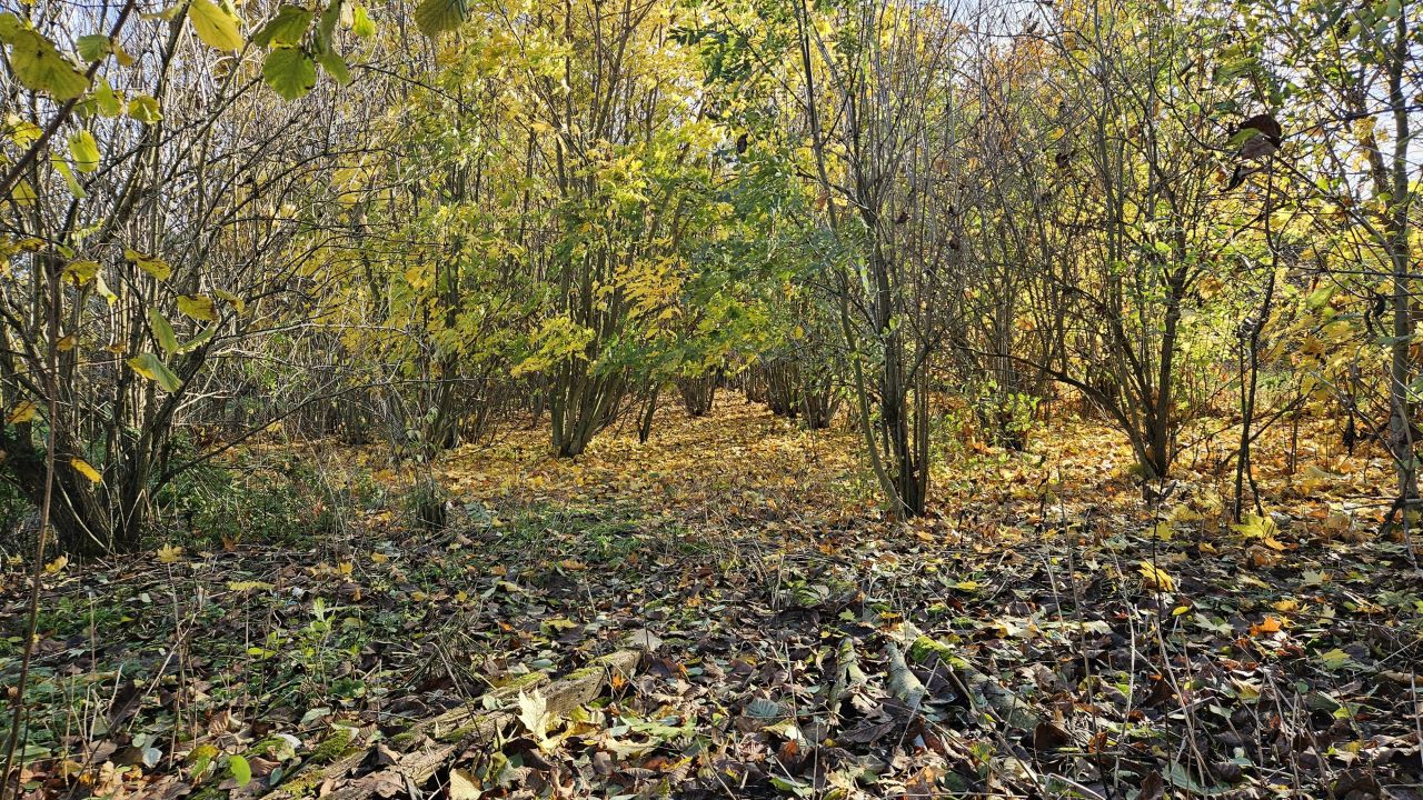 dom wolnostojący, 2 pokoje Zadworze. Zdjęcie 25