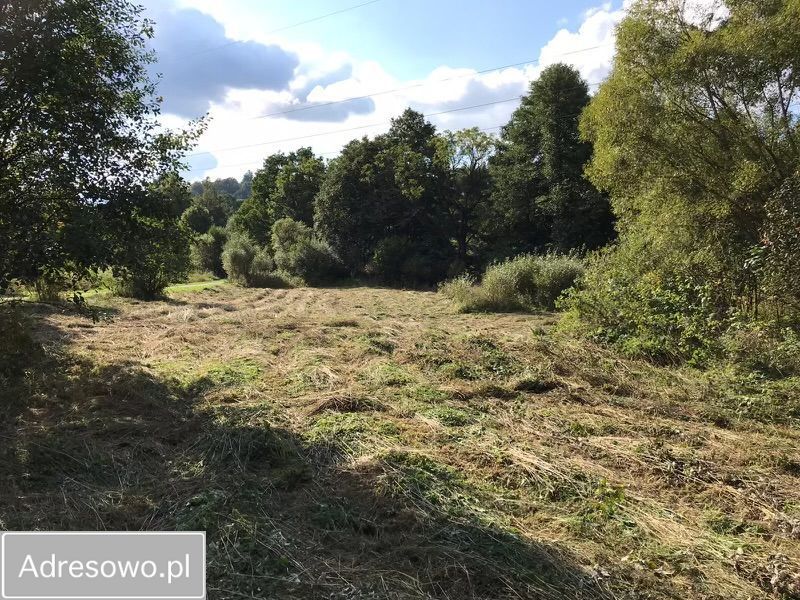 Działka budowlana Droszków. Zdjęcie 6