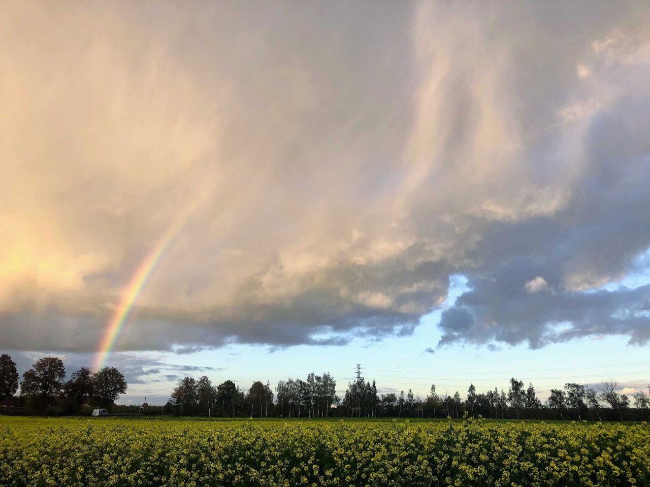 Działka inwestycyjna Podpniewki. Zdjęcie 3