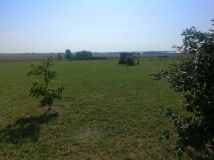 Działka rolno-budowlana Grzędzice, ul. Oliwkowa. Zdjęcie 2