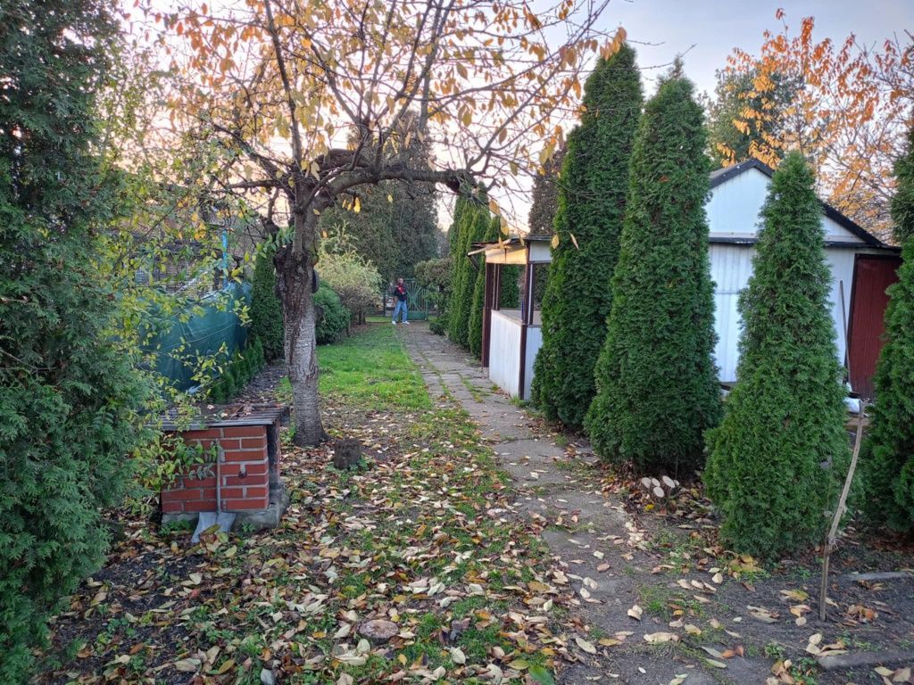 Działka rod Sosnowiec Niwka. Zdjęcie 6