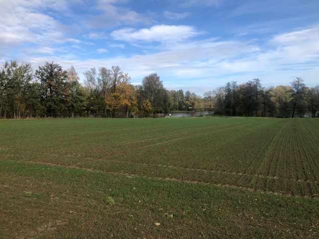 Działka rolno-budowlana Stara Wieś Stara Wieś Dolna, ul. Lipowa. Zdjęcie 3