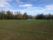 Działka rolno-budowlana Stara Wieś Stara Wieś Dolna, ul. Lipowa. Zdjęcie 2