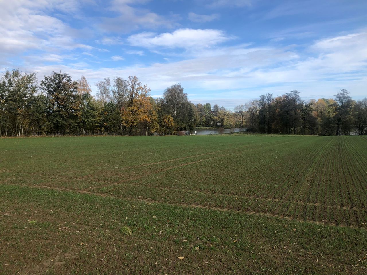 Działka rolno-budowlana Stara Wieś Stara Wieś Dolna, ul. Lipowa. Zdjęcie 3