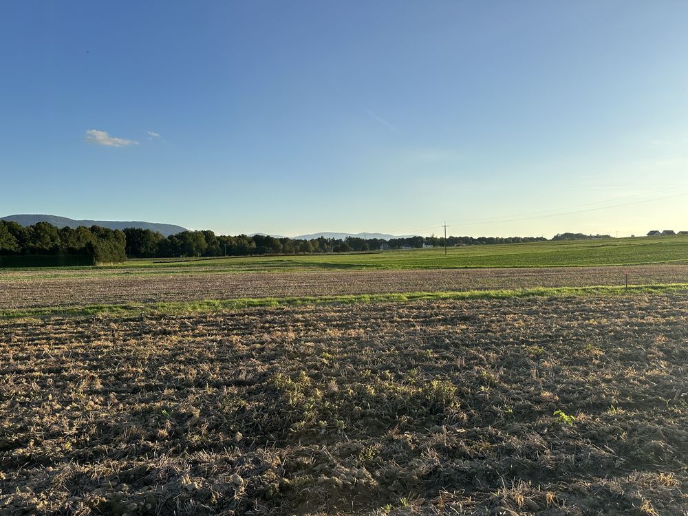 Działka budowlana Pisarzowice. Zdjęcie 6