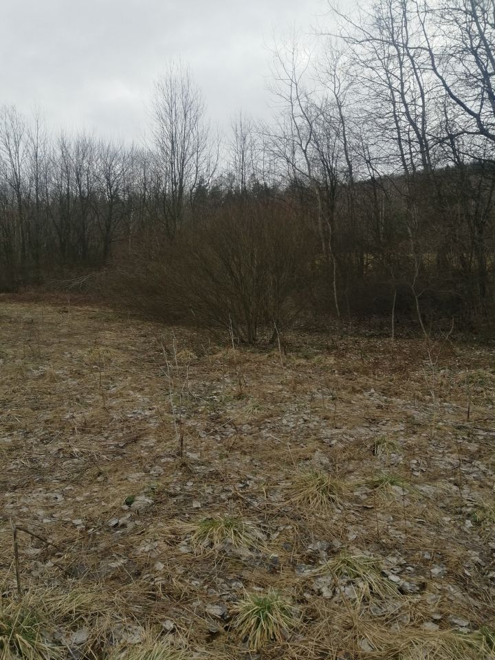 Działka rolna Rozdziele. Zdjęcie 8