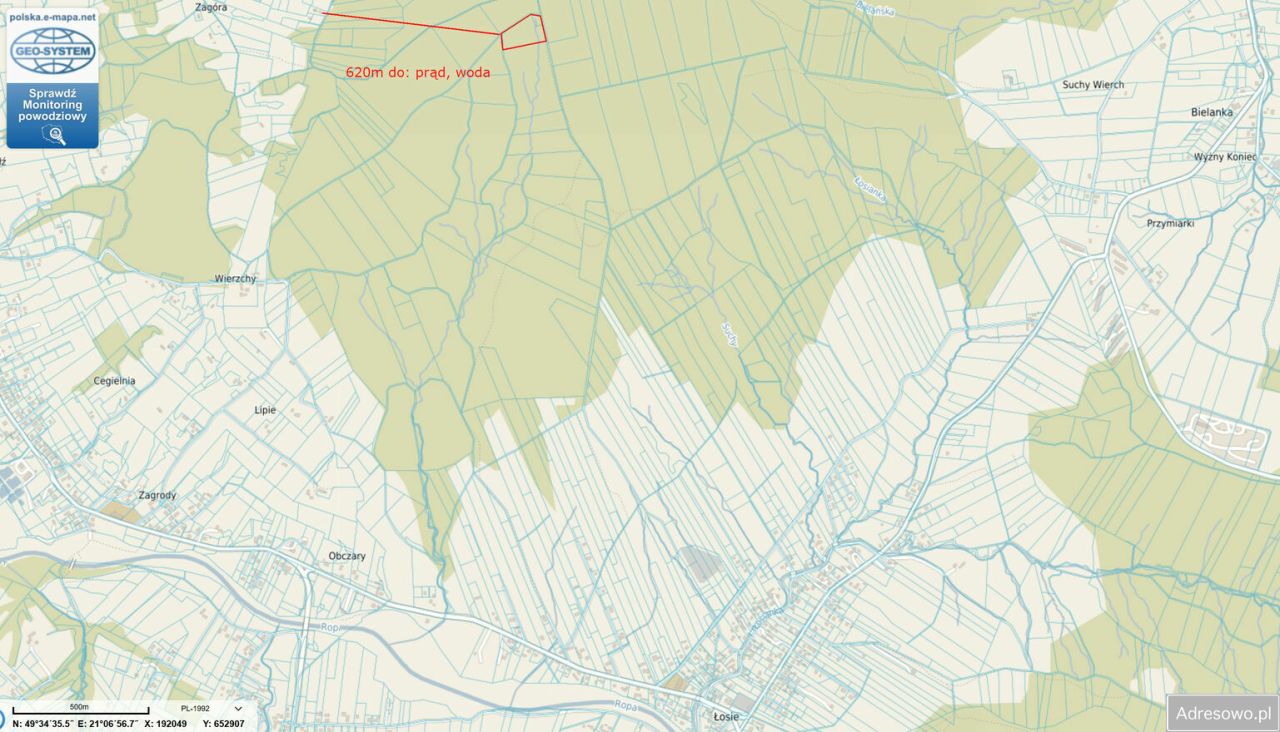 Działka leśna Łosie. Zdjęcie 10