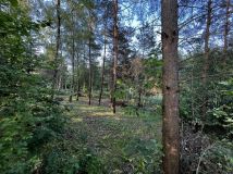 Działka rekreacyjna Kiełpiny. Zdjęcie 3