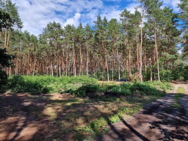 Działka budowlana Rakoniewice Wygoda. Zdjęcie 1