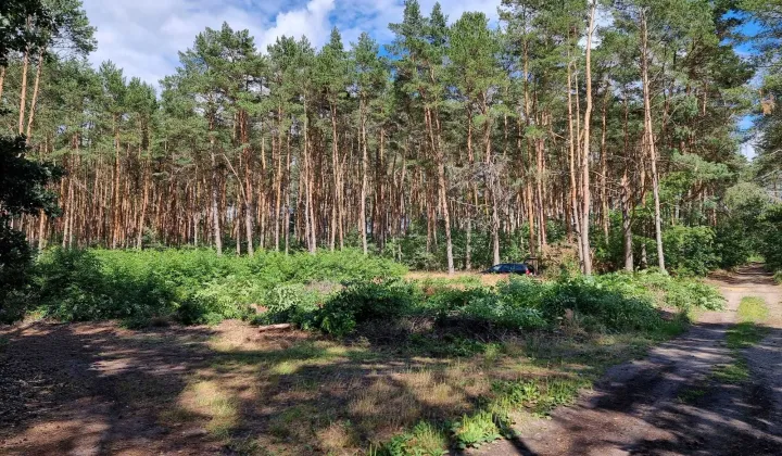 Działka budowlana Rakoniewice Wygoda