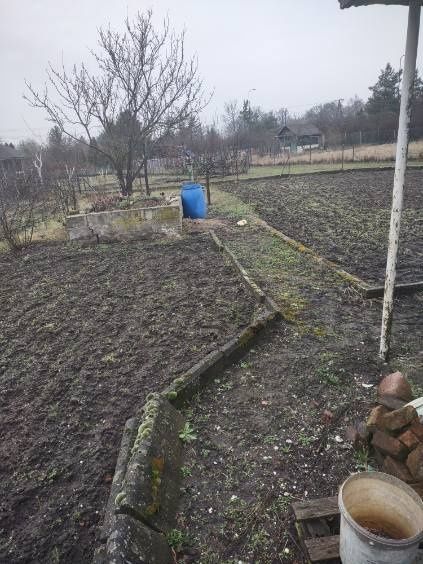 Działka rod Wrocław Psie Pole. Zdjęcie 3