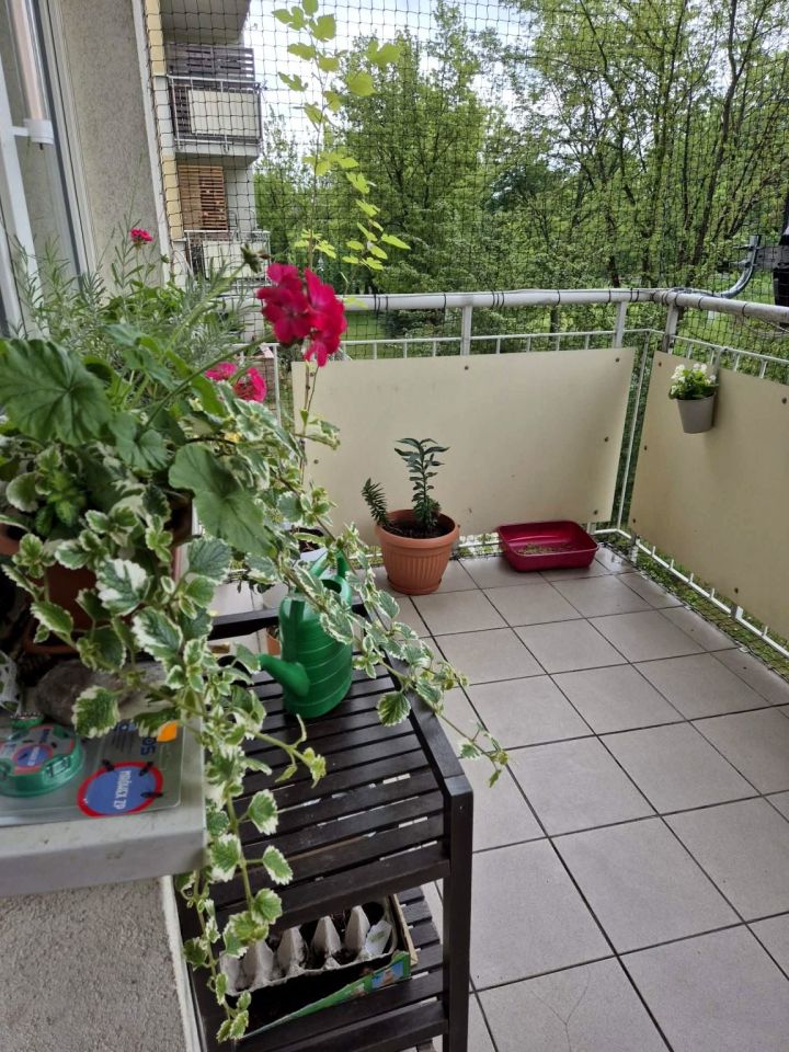Mieszkanie 2-pokojowe Warszawa Targówek, ul. Zielone Zacisze. Zdjęcie 13