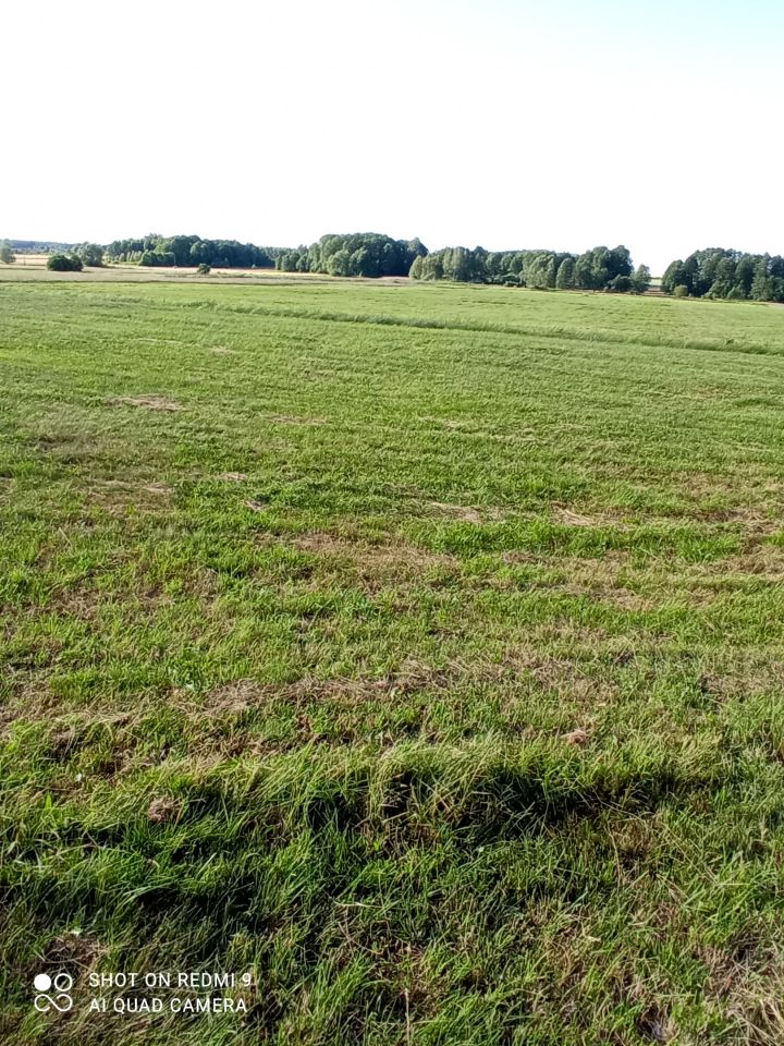 Działka rolna Olszowa. Zdjęcie 4