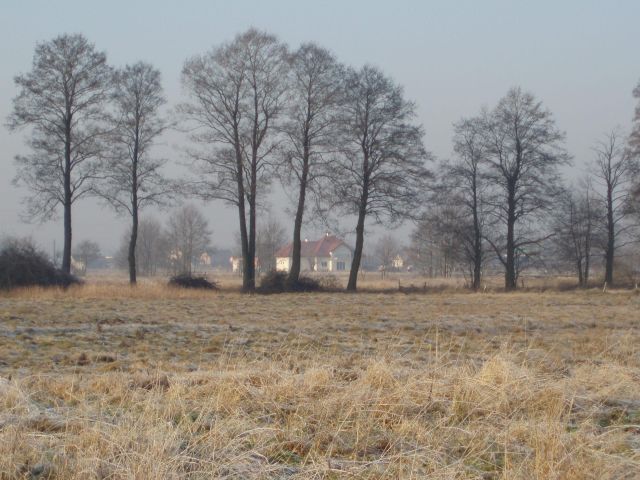 Działka budowlana Izabelin, ul. Wrzosowa. Zdjęcie 1