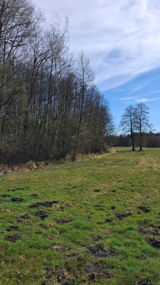 Działka budowlana Wólka. Zdjęcie 4