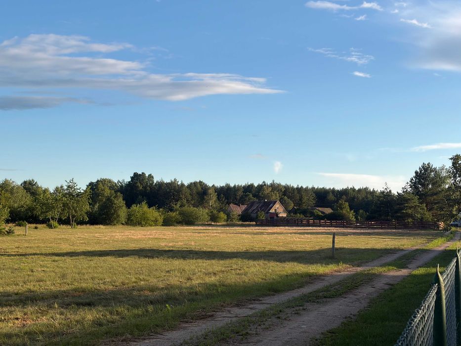 Działka budowlana Sojczynek. Zdjęcie 1
