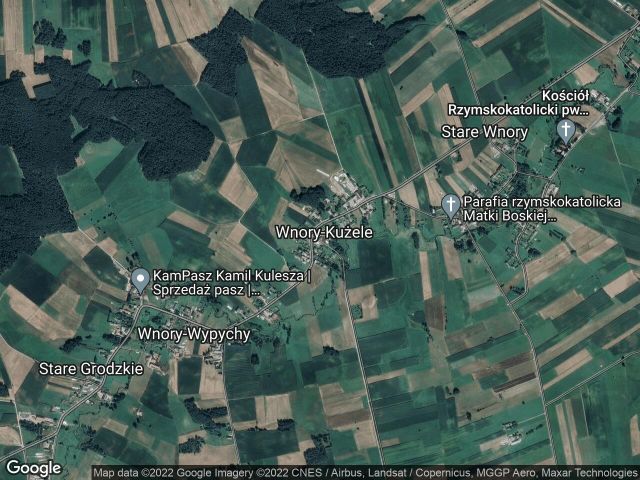 Działka leśna Wnory-Kużele. Zdjęcie 1