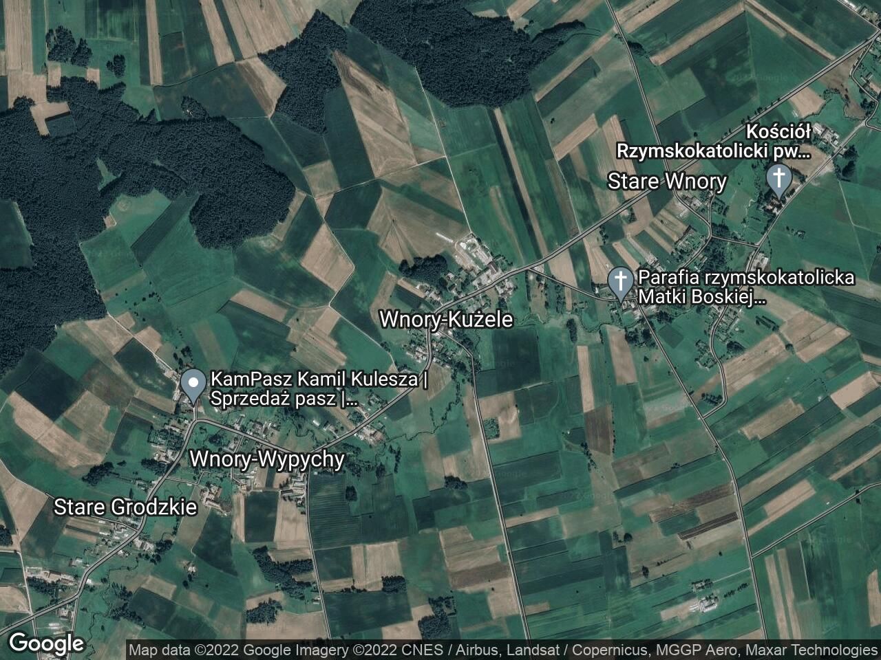 Działka leśna Wnory-Kużele. Zdjęcie 1