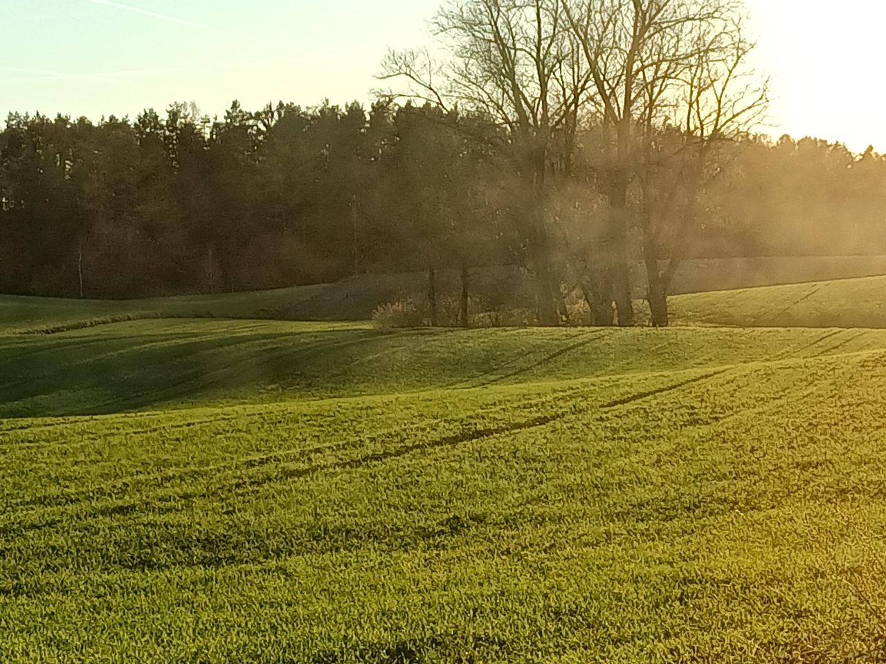 Działka rolno-budowlana Niedamowo. Zdjęcie 17