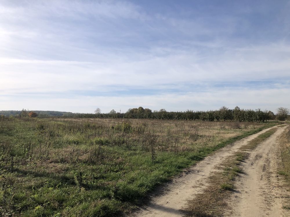 Działka rolna Biała Rawska, ul. Plantowa. Zdjęcie 5