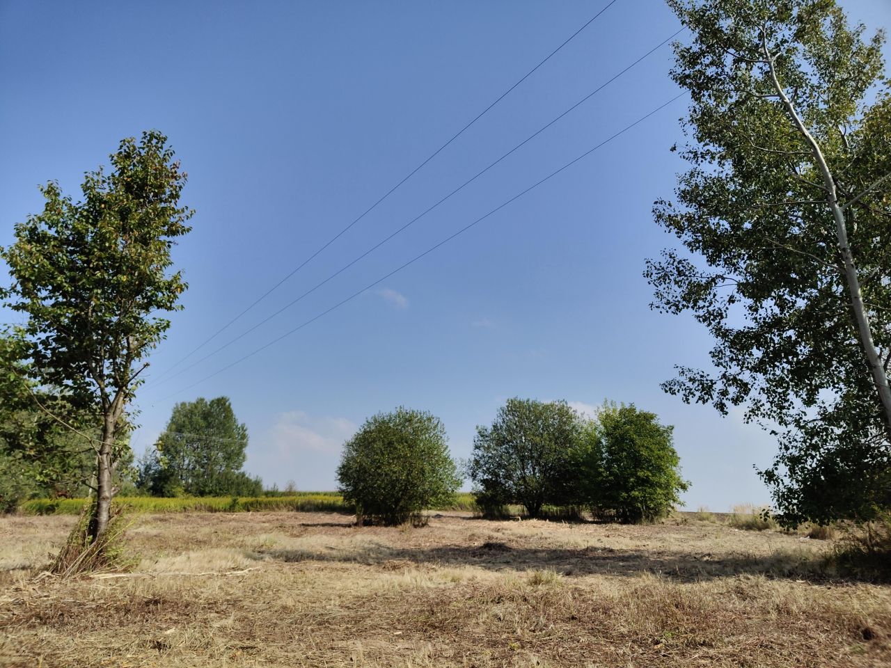 Działka budowlana Jabłonna Pierwsza. Zdjęcie 14