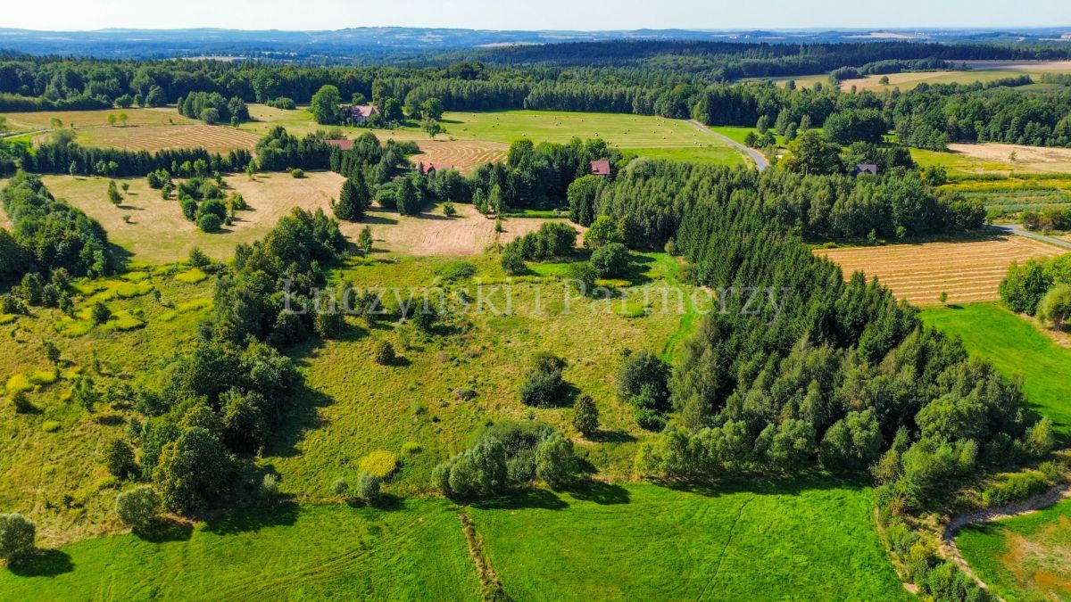 Działka siedliskowa Kłopotnica. Zdjęcie 7