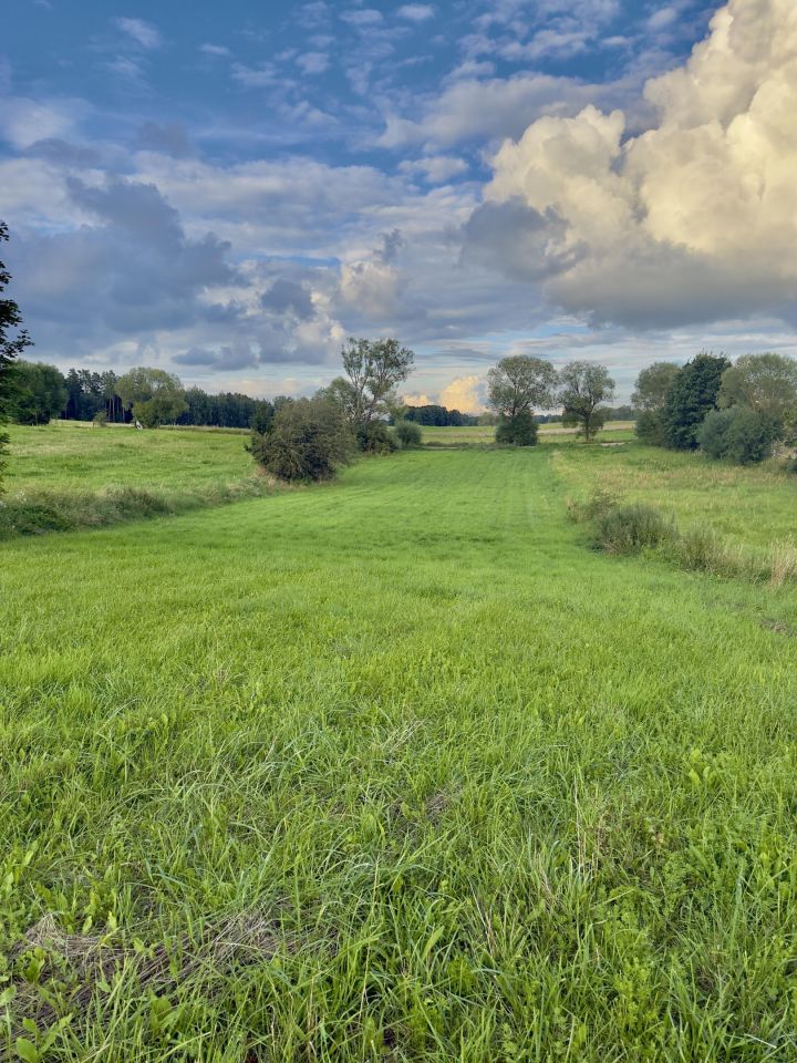 Działka rolno-budowlana Dłużec, Dłużec. Zdjęcie 3