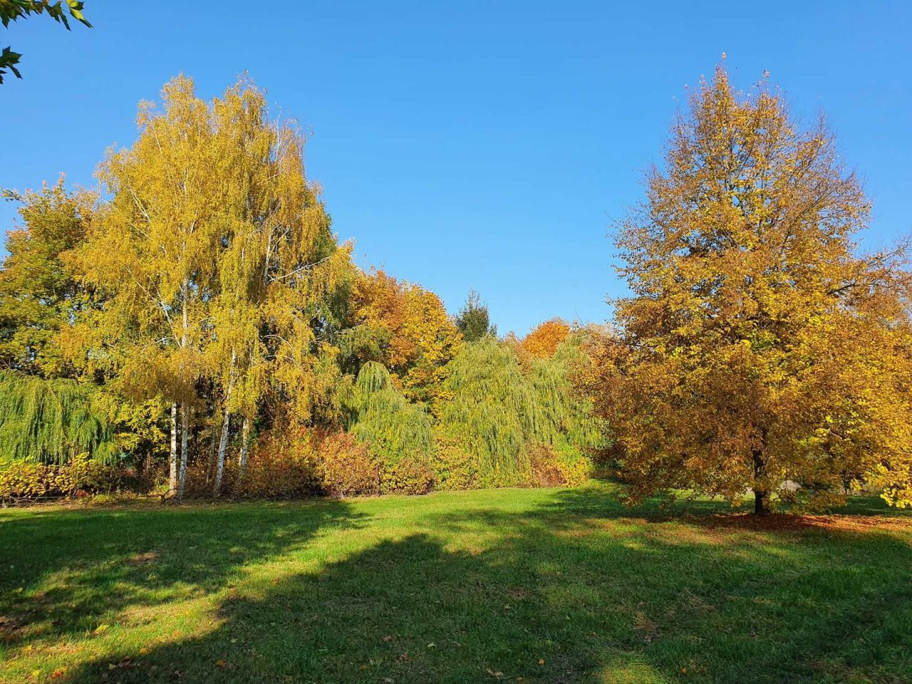 Działka budowlana Broniewice. Zdjęcie 3