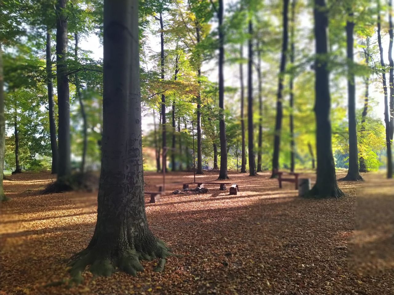 dom wolnostojący, 8 pokoi Radostów Średni, Radostów Średni. Zdjęcie 33