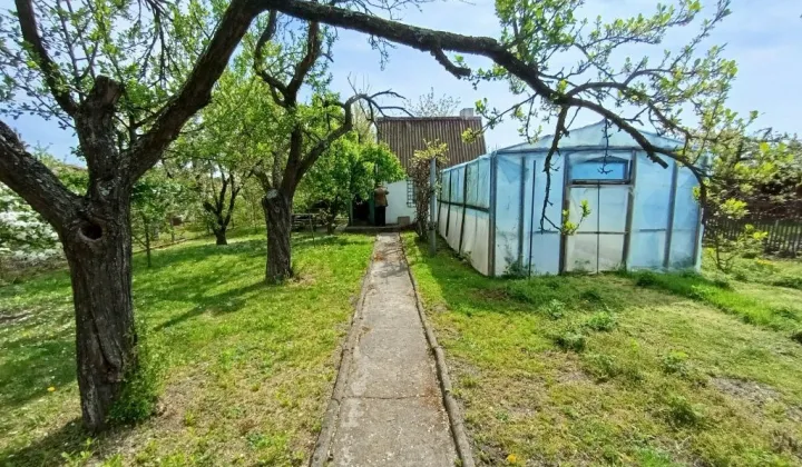 Działka rod Choszczno, ul. Fabryczna