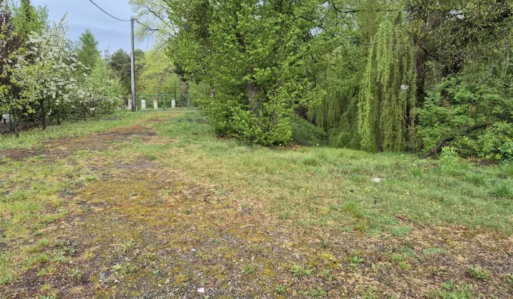 siedlisko, 4 pokoje Elbląg Rubno Wielkie, ul. Pszeniczna