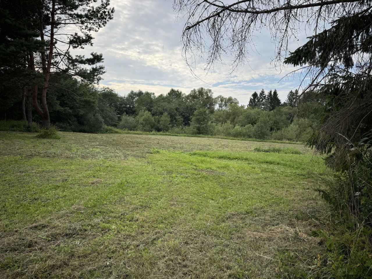 Działka budowlana Osławica. Zdjęcie 19