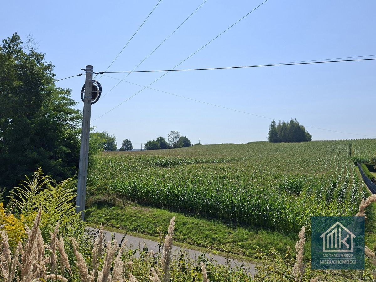 Działka budowlana Bodzanów. Zdjęcie 3