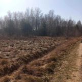 Działka rolno-budowlana Dąbrowa. Zdjęcie 4