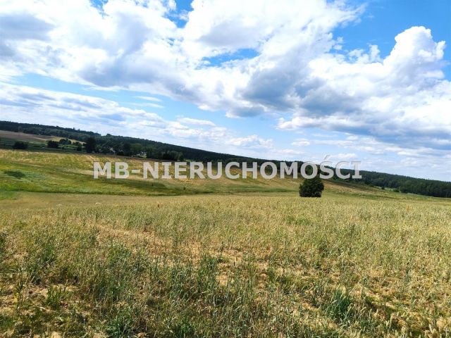 Działka budowlana Jaroty. Zdjęcie 4