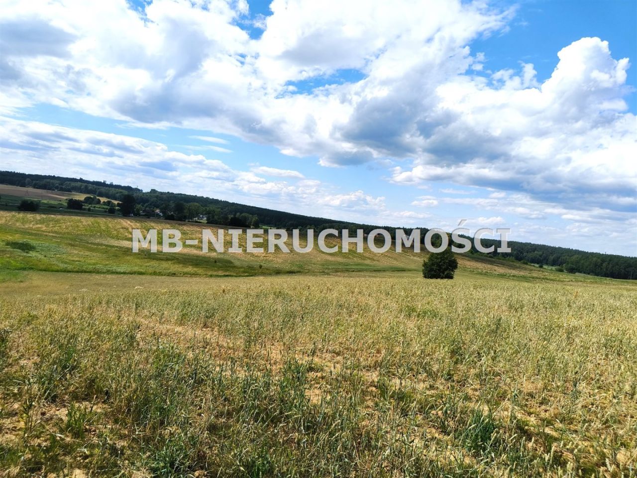 Działka budowlana Jaroty. Zdjęcie 4