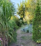 Działka rod Olsztyn, Kapitańska. Zdjęcie 3