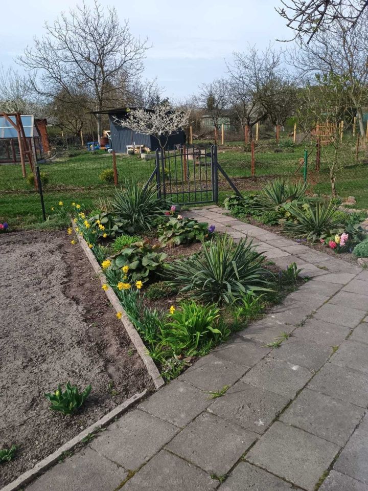 Działka rod Chełm, ul. Żabia. Zdjęcie 7