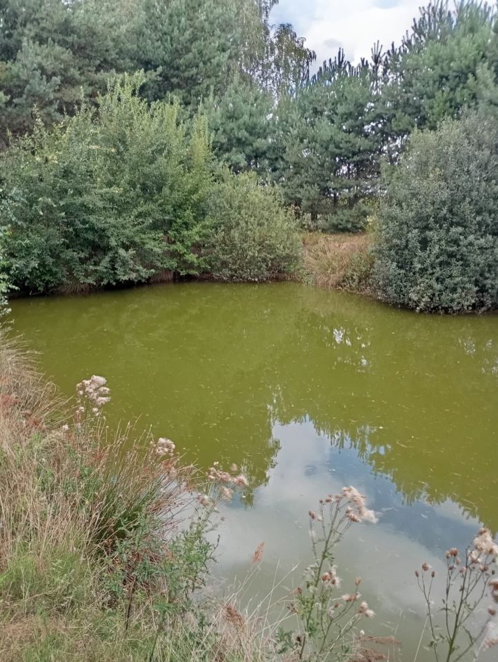 Działka rekreacyjna Piątek. Zdjęcie 5